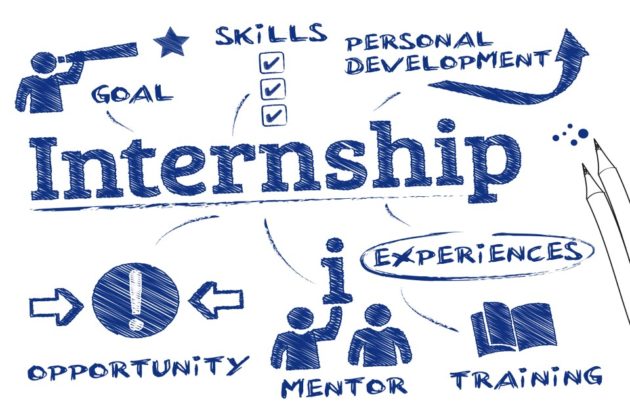 Cartoons and text saying: Mentor, opportunity, training, experience, skills, personal development and goals