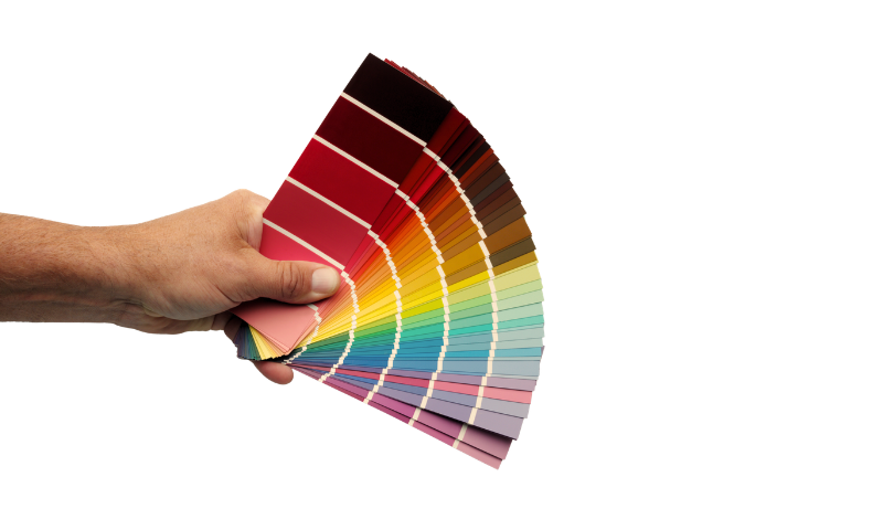 A person holding a fan of paper sheets in varying colours including red, yellow and blue, against a white background.