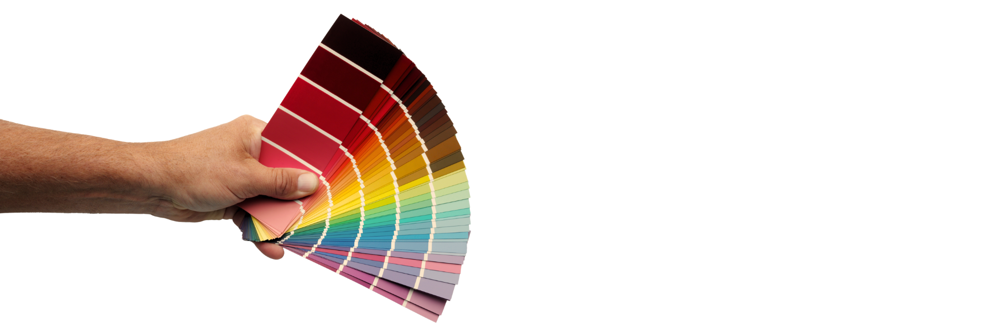 A person holding a fan of paper sheets in varying colours including red, yellow and blue, against a white background.