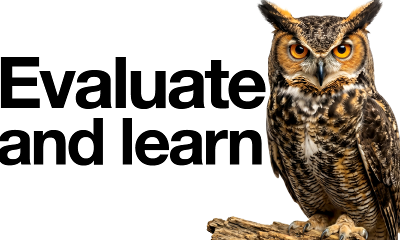 An owl perched on a branch on right side of frame next to the text "Evaluate and learn" in bold black text on a white background.